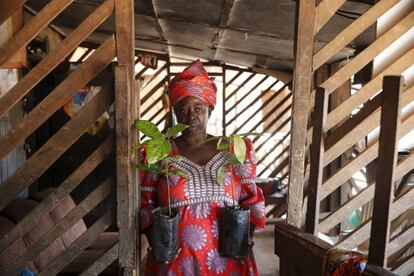 Olori Ronke Akindoju es la dirigente de la asociación cooperativa de agricltores Tonikoko. En la imagen muestra unas plantas de cacao frente a su casa.