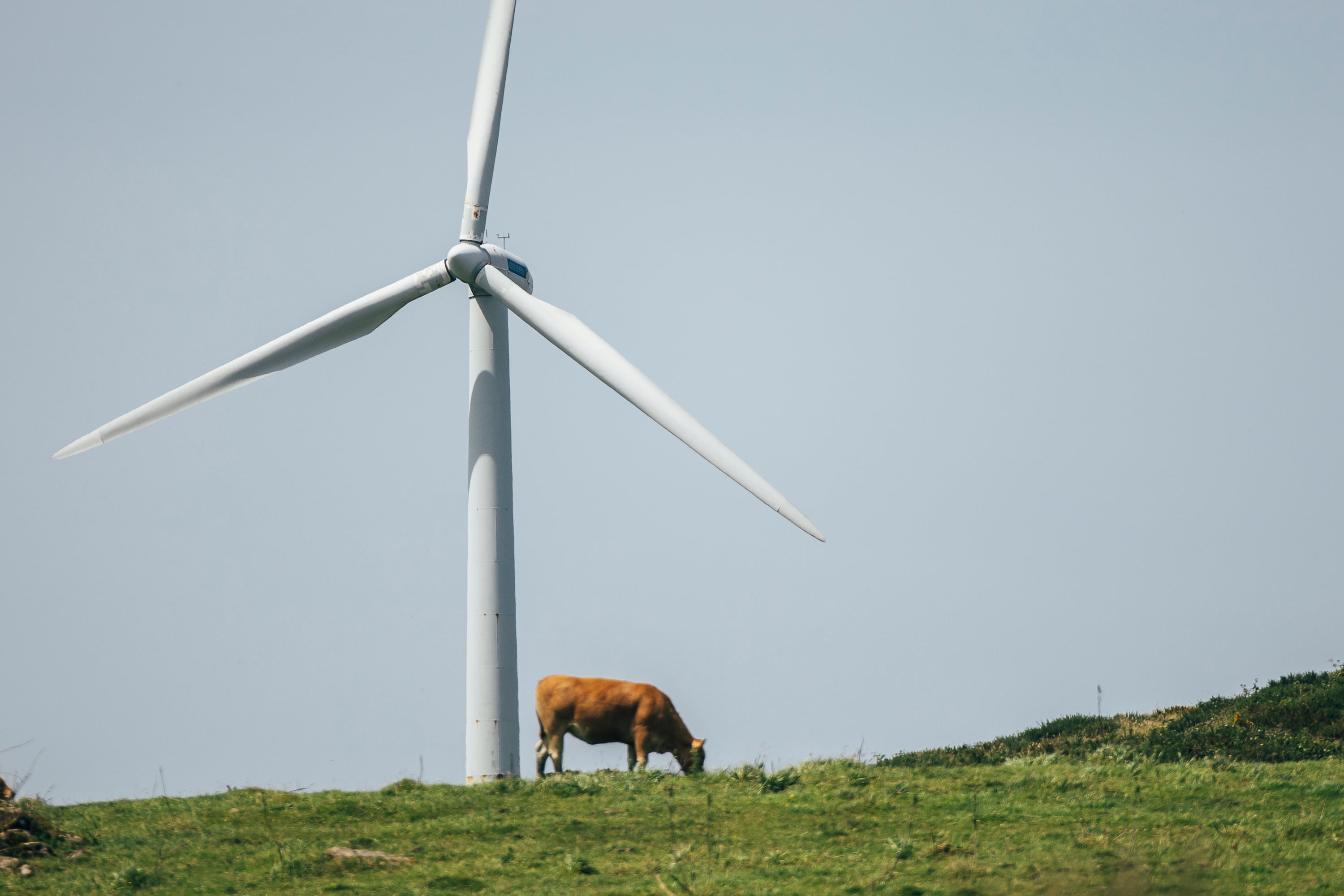 Licencia social para impulsar la transición ecológica