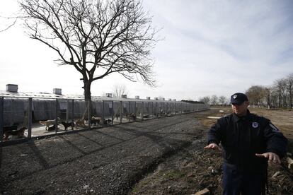 Un guarda de la prisión de Sremska Mitrovica,al noroeste de Belgrado, la capital de Serbia, gesticula cerca del refugio de perros dentro de las instalaciones,