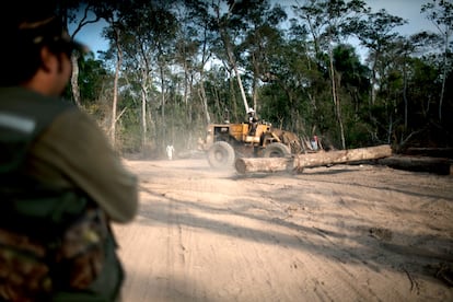 El administrador de un campamento de madereros inspecciona la medición de troncos antes de ser transportados a Ascensión de Guarayos, en Santa Cruz (Bolivia), en 2012.