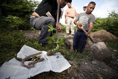 Los comunitarios van dejando lo que encuentran en un papel de peri&oacute;dico. Desde que desaparecieran los estudiantes el 26 de septiembre, ellos han localizado nueve fosas clandestinas con un n&uacute;mero indeterminado de restos. 