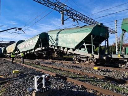 Tren de mercancías descarrilado esta mañana en Arévalo (Ávila).