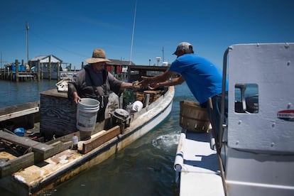 El puerto, pulmón económico para estas familias que viven de la pesca de cangrejos, está actualmente amenazado por la erosión. Su entrada se ensancha, haciéndolo más vulnerable a las tempestades.