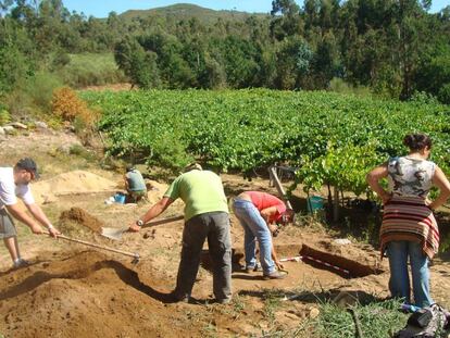 Excavaciones en el yacimiento paleolítico inferior de O Cabrón, en Arbo.