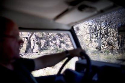 Desde el interior del coche se pueden apreciar los efectos del incendio del 2015 en la zona de La Alcaldesa en San Roque, Cádiz.