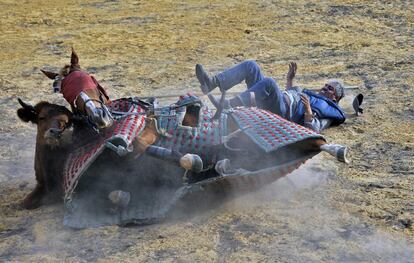 El picador colombiano Cayetano Romero es lanzado desde su caballo por un toro durante una sesión taurina en el rancho de toros de Mondoñedo, el más antiguo del país, en el municipio de Mosquera, a las afueras de Bogotá (Colombia).
