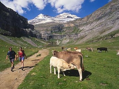 Dos excursionistas en el valle de Ordesa, por la ruta senderista del río Arazas, que conduce a la cascada de la Cola de Caballo. Al fondo, el Monte Perdido.