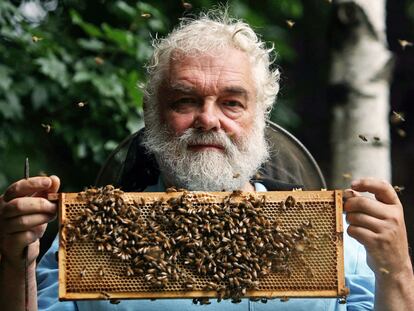 John Chapple, presidente de London Beekeepers Association y apicultor de las colmenas reales, fotografiado en 2008.