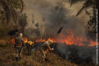 Los bomberos combaten un incendio en la granja de São Francisco de Perigara, en Brasil, que alberga una de las mayores poblaciones de guacamayos jacinto. Cerca del 92% de la superficie de la granja, dedicada en su mayor parte a la conservación, quedó destruida por el fuego. Casi un tercio de la región brasileña del Pantanal -el mayor humedal tropical del mundo y las praderas inundadas, que se extienden por unos 140.000 a 160.000 kilómetros cuadrados- fue consumida por los incendios en el transcurso de 2020.