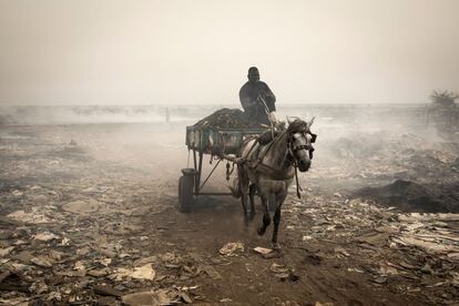 Un hombre viaja en un carro de caballos a través del humo que sale de los fuegos prendidos por los ahumadores artesanales que trabajan en la costa en Bargny, junio de 2020.