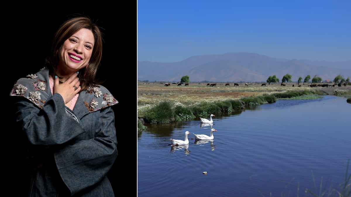 Violencia y evasión en Quilicura: un motociclista muerto y la sombra de la impunidad en la comuna