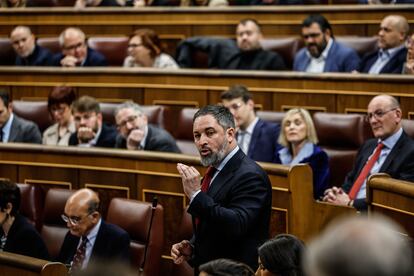 Santiago Abascal interviene este miércoles en la sesión de control al Gobierno, en el Congreso.