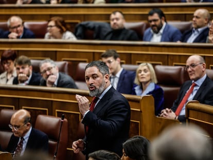 Santiago Abascal interviene este miércoles en la sesión de control al Gobierno, en el Congreso.