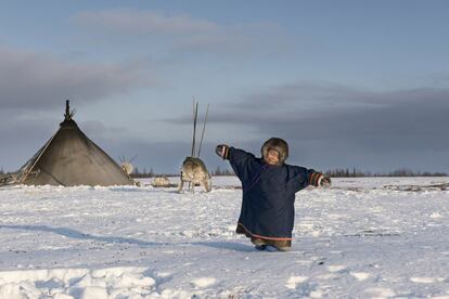 Nacen en el frío, crecen en tiendas de campaña y se mueven con sus padres en trineos: son los hijos de los Nenets, uno de los 44 pueblos indígenas en territorio ruso, que crecen en gran libertad. Su gente vive como nómadas en el extremo noroeste de Rusia. Los niños no conocen ni calefacción ni electricidad; obtienen el agua de la nieve derretida y el generador les proporciona electricidad de dos a tres horas al día. Pero cuando cumplen siete, van en helicóptero a una escuela pública durante nueve meses al año, hasta que tienen 17 años. La escuela es gratuita, pero especialmente inusual para los niños, que al principio no hablan ruso y tienen que caminar por la cuerda floja entre dos culturas. La fotógrafa Elena Chernyshova ha acompañado a los hijos de los pastores de renos en ambos mundos: en la tundra y en la ciudad; envuelto en pieles y haciendo gimnasia en la escuela; debajo del gran cielo y bajo la observación de sus maestros.