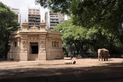 A elefanta asiática Mara, resgatada de um circo, no Zoológico de Buenos Aires.