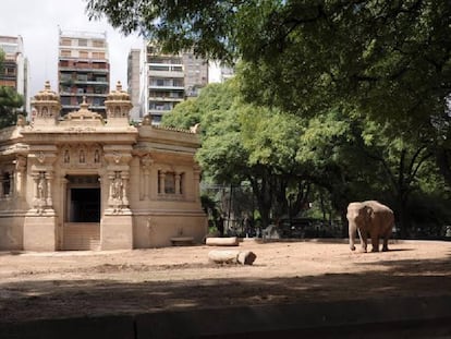 La elefanta asi&aacute;tica Mara, rescatada de un circo, exhibida en el Zoo de Buenos Aires.