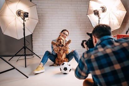 En los rodajes publicitarios con animales se suele pedir la presencia de un veterinario.