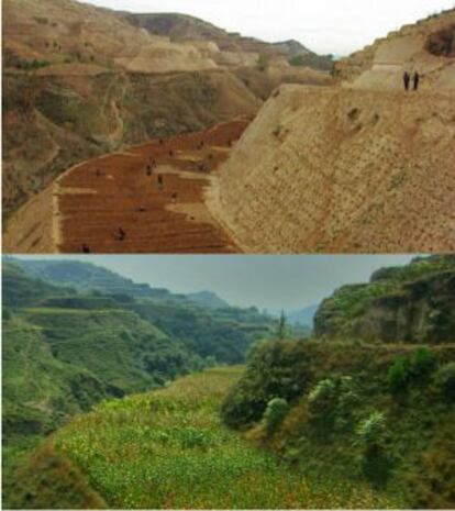 Antes y después de la restauración de la vegetación en un proyecto realizado en la meseta de Loess, provincia de Shaanxi, China.  La foto del antes fue tomada en 1995 y el después, en 2009.