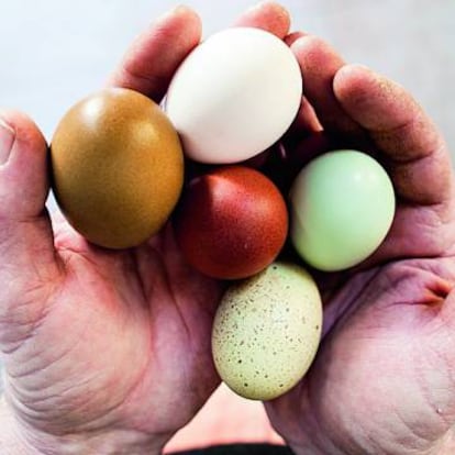 Ulzurrun sostiene huevos de sus gallinas.