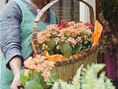 Una niña africana vende flores en una tienda de Zaragoza.