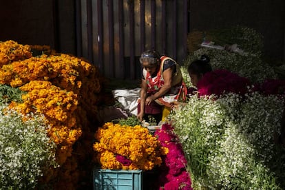 La pandemia no ha supuesto solamente nuevas dificultades en el plano espiritual. En lo material, el golpe para la economía se va a notar también en la llegada de turistas a los tradicionales Estados, como Oaxaca y Michoacán. 