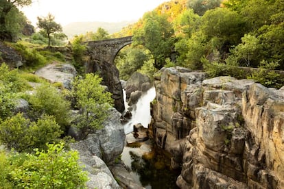 El único parque nacional de <a href="https://elviajero.elpais.com/tag/portugal/a" target="_blank">Portugal</a> se cuenta, por sus múltiples facetas, entre las zonas protegidas más hermosas del sur de Europa. Desde los lagos alpinos y pantanos de las alturas del parque, pobladas por genistas y enebros, hasta los valles siempre verdes donde crecen moreras, eucaliptos y robles. Su interior también esconde una vida animal única: lobos, gatos monteses, águilas reales, nutrias y hasta víboras habitan este territorio. Es fácil llegar con transporte público y hay varios campings donde pernoctar.