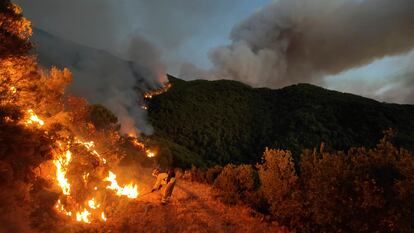 Bomberos forestales luchan por apagar las llamas en el incendio de Sierra Bermeja (Mlaga), el 18 de septiembre.