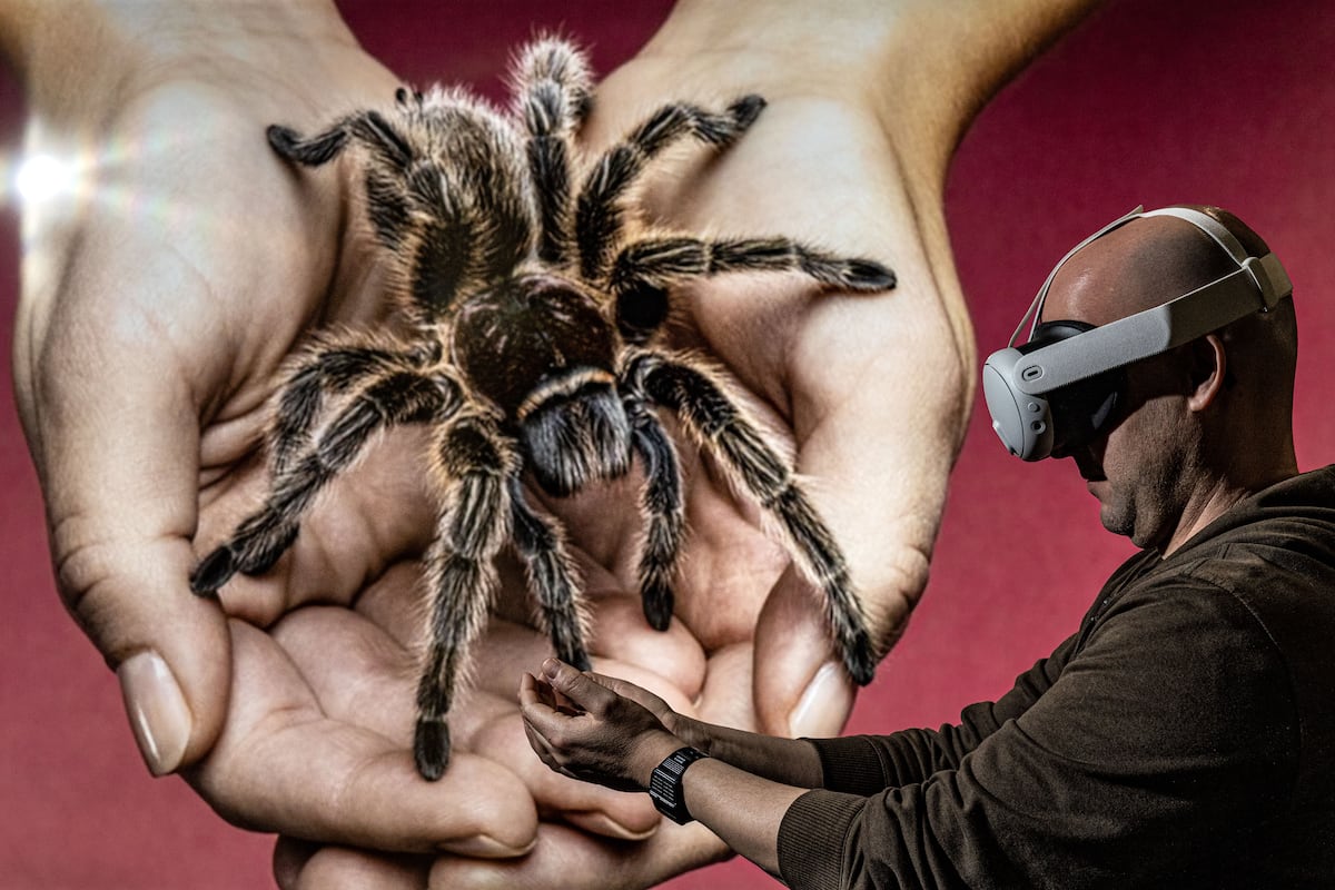 Perder la fobia a las arañas o superar el estrés postraumático: la realidad virtual como herramienta de terapia psicológica | Sociedad Perder la fobia a las arañas o superar el estrés postraumático: la realidad virtual como herramienta de terapia psicológica | Sociedad