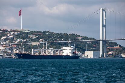 El carguero 'Razoni', con más de 26.000 toneladas de maíz procedentes de Ucrania, pasaba por Estambul (Turquía) el 3 de agosto.