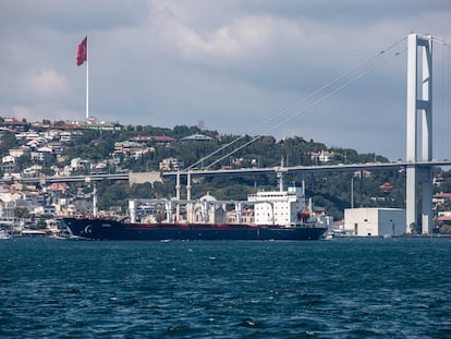 El carguero 'Razoni', con más de 26.000 toneladas de maíz procedentes de Ucrania, pasaba por Estambul (Turquía) el 3 de agosto.