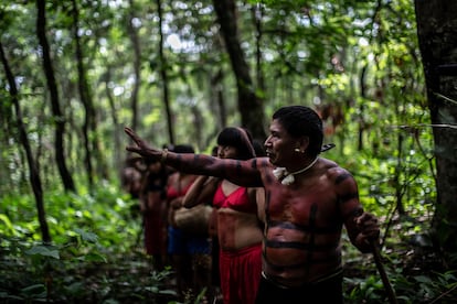 José Sumene, jefe de la comunidad de Ripá, comparte algunos conocimientos sobre el bosque con las mujeres xavante mientras se adentran en la parte más densa de la vegetación en las laderas de la sierra de Roncador durante un 'dzomori'.