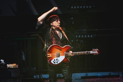 Steve Van Zandt