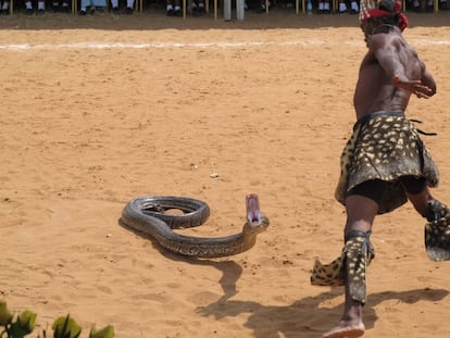 Ceremonia africana con una pitón.