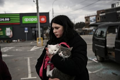 Una mujer sostiene a sus gatos mientras son evacuados de Irpin, el 7 de marzo de 2022. La ciudad ha sido escenario de algunos de los combates más encarnizados de la guerra.