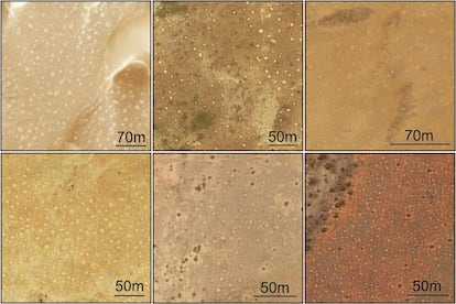 La composición muestra nuevos círculos de hadas en, empezando arriba por la derecha, Sáhara Occidental, Mauritania, dos de Níger, Sudan y la última en Australia.