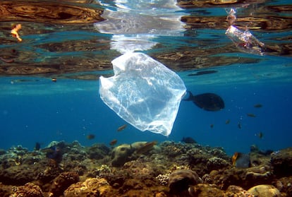 De acordo com a ONU, caso a humanidade não reveja a forma como consome plástico no mundo, poderá haver mais plásticos do que peixes nos oceanos até 2050. Na imagem, uma sacola boiando no Mar Vermelho, no Egito.