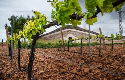 Tomelloso, en Ciudad Real, alberga la cooperativa vitivinícola más grande del mundo.