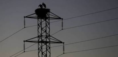 Dos cigüeñas permanecen en el nido de la torre de un tendido eléctrico.