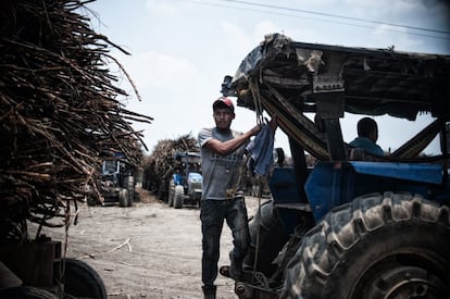 México ocupa el octavo lugar mundial en producción azucarera y la zafra constituye la principal forma de vida de muchas poblaciones situadas en las orillas del río Papaloapan. En la imagen un joven trabajador en la zafra monta un tractor en el área de descarga del Ingenio San Cristobal.