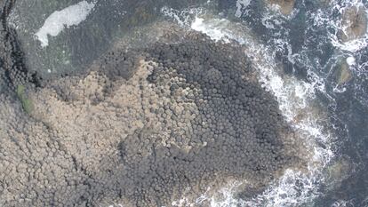 The hexagonal rocks of the Giant's Causeway. (National Geographic/Windfall Films)