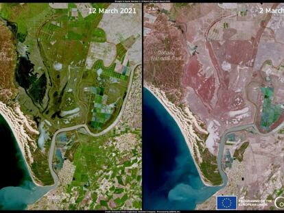 Imágenes de satélite del entorno de Doñana en marzo de 2021 y marzo de 2022.
