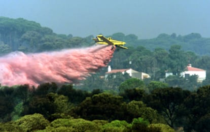 Una avioneta suelta agua en la zona de los pinos de Valverde.