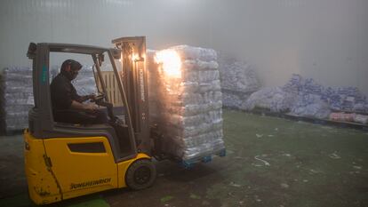 Un trabajador trasladaba la semana pasada un palé de bolsas de hielo en la fábrica de hielo Hocosol de Málaga.