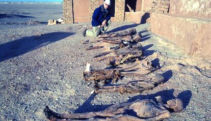 Arthur C. Aufderheide, el gran especialista estadounidense en momias y pionero de su estudio al que ha homenajeado el congreso, en las excavaciones en el oasis egipcio de Dahkleh en los 90. 