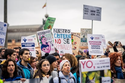 Concentración de veterinarios este miércoles frente al Ministerio de Agricultura.