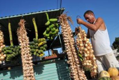 Un hombre acomoda tiras de cebolla en un puesto privado de venta de vegetales, en el municipio habanero de Mariel (Cuba).