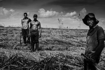 Muitos dos cortadores de cana são descendentes de escravos. Filhos de quilombolas – escravos que fugiram do engenho da cana-de-açúcar