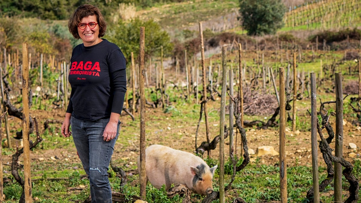 The small revolution of Portugal’s winegrowers