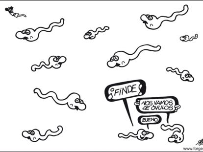 FORGES