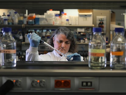 Pilar Martín, investigadora del CNIC, manipula una muestra en su laboratorio.